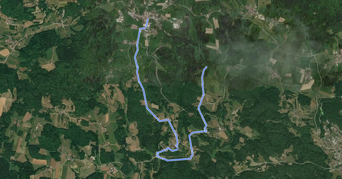 Маршрут Goldsteig Alternative Nr.31 Zenting → Ranfels → Manzenreuth на спутниковом снимке