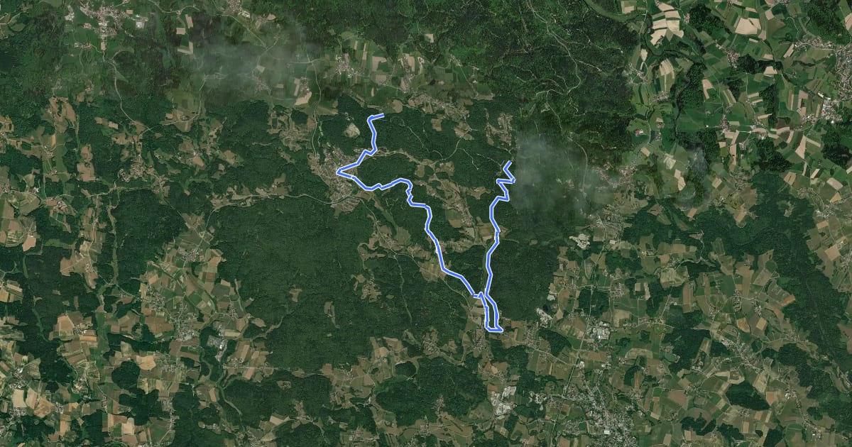 Маршрут Goldsteig Alternative Nr.32 Thurmansbang → Dreiburgensee → Saldenburg на спутниковом снимке
