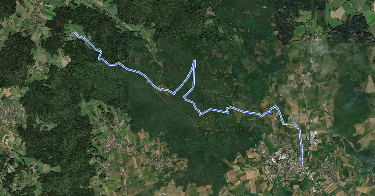 Маршрут Goldsteig N10: Herzogau - Furth im Wald на спутниковом снимке