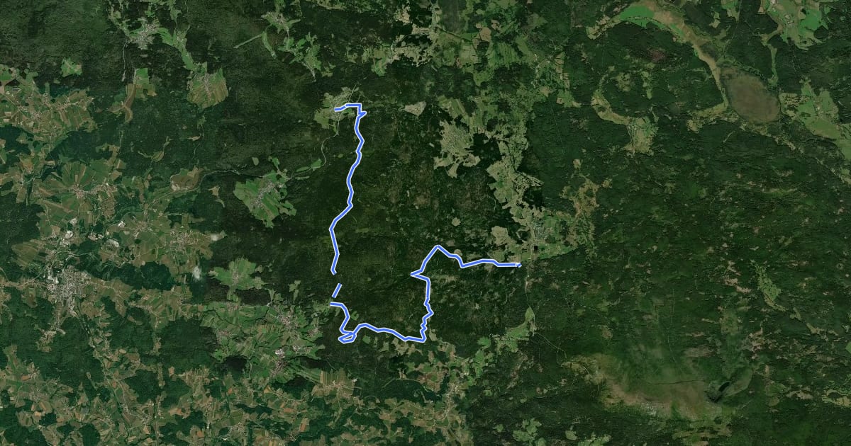 Маршрут Goldsteig N20: Philippsreut - Haidmühle на спутниковом снимке