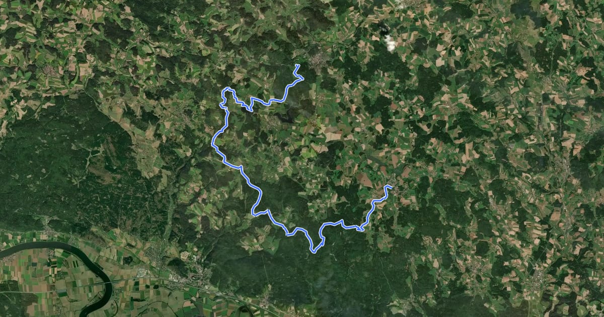 Маршрут Goldsteig S12: Falkenstein - Wiesenfelden на спутниковом снимке