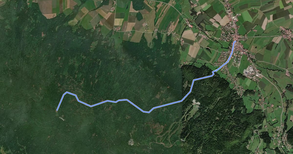 Маршрут Goldsteig Zuweg Nr.12 Neukirchen beim Heiligen Blut → Diensthütte Hohen Bogen на спутниковом снимке