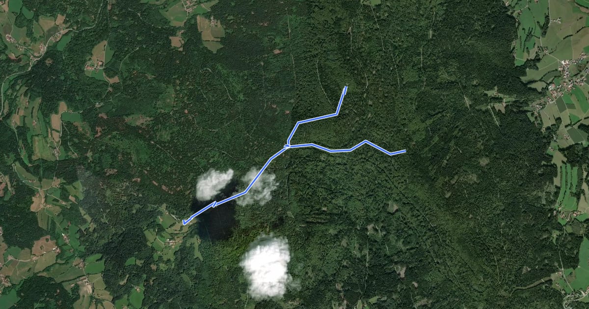 Маршрут Goldsteig Zuweg Nr.30 Grandsberg - Hirschenstein на спутниковом снимке