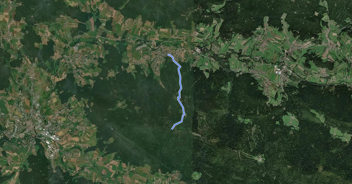 Маршрут Goldsteig Zuweg Nr.38 Hohenwarth → Kaitersberg на спутниковом снимке