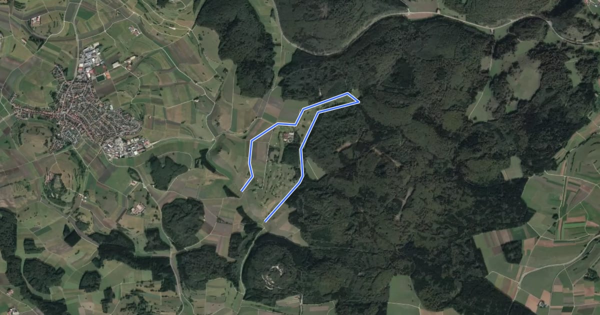 Маршрут Golfplatz-Loipe на спутниковом снимке