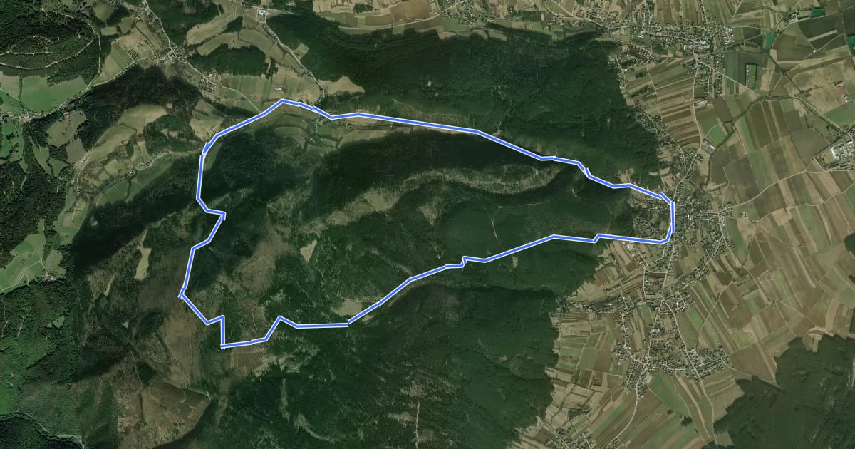 Маршрут Gollbaurunde (Klammrunde bei Würflach über Ruine Schrattenstein) на спутниковом снимке
