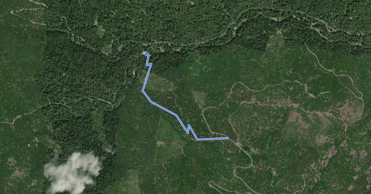 Маршрут Gooseberry Flat Trail на спутниковом снимке