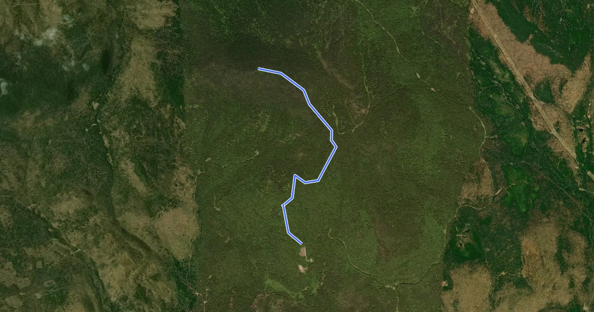 Маршрут Gore Mountain East Trail на спутниковом снимке