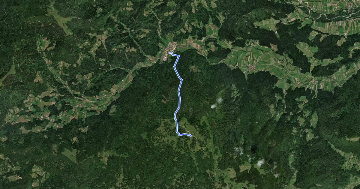 Маршрут Gornji Grad - Borovnica - Dom na Menini на спутниковом снимке