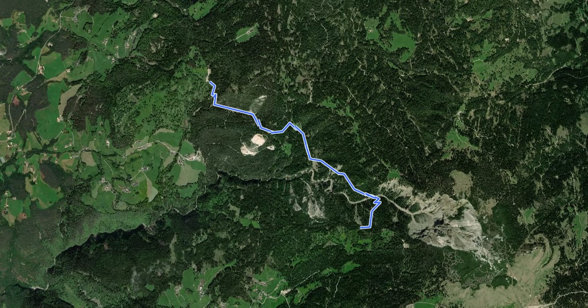 Маршрут Gorzsteig на спутниковом снимке