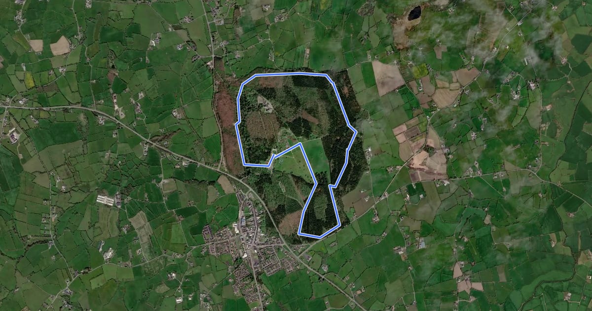 Маршрут Gosford Forest Park - Family Cycle Trail на спутниковом снимке