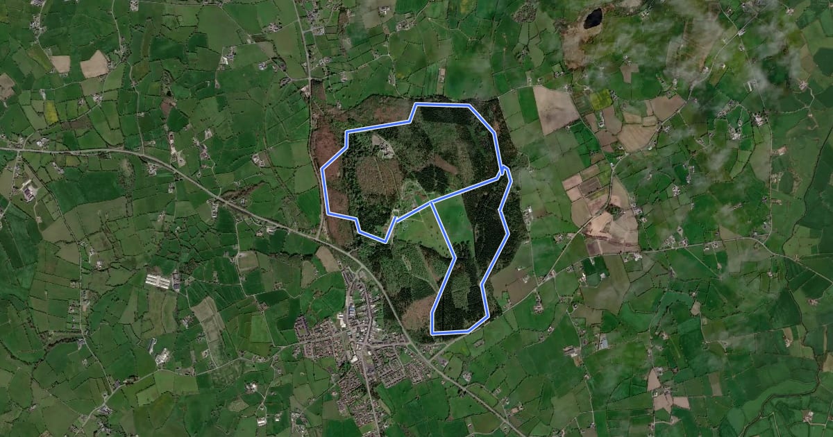 Маршрут Gosford Forest Park - Red Trail на спутниковом снимке