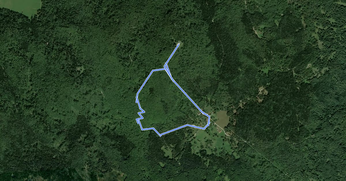 Маршрут Gozdna učna pot Planina–Mirna gora на спутниковом снимке