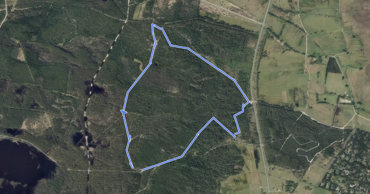 Маршрут Grøn MTB rute - Bordrup Plantage на спутниковом снимке