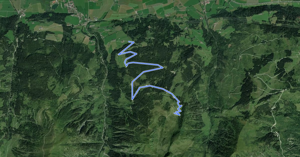 Маршрут Grünalm (Forstweg) на спутниковом снимке