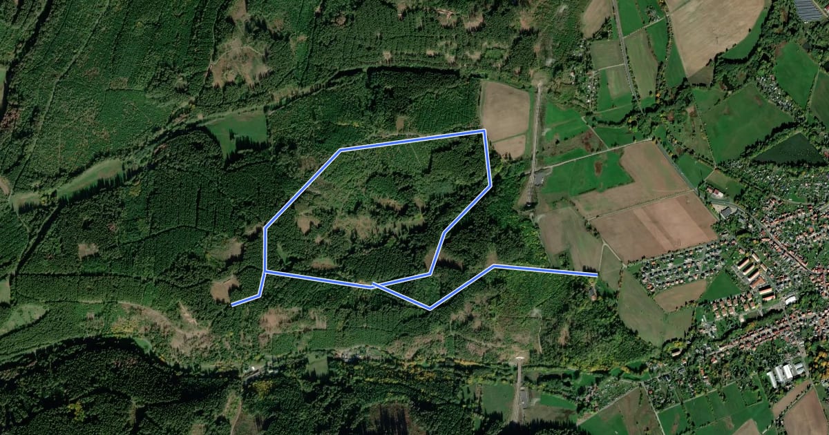 Маршрут Grünes X,Gehren, Thüringer Wald на спутниковом снимке