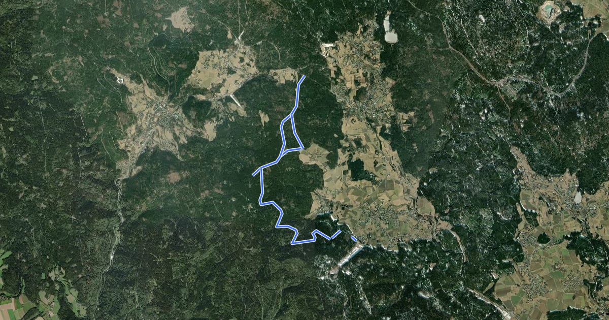Маршрут Grünstein Loipe на спутниковом снимке