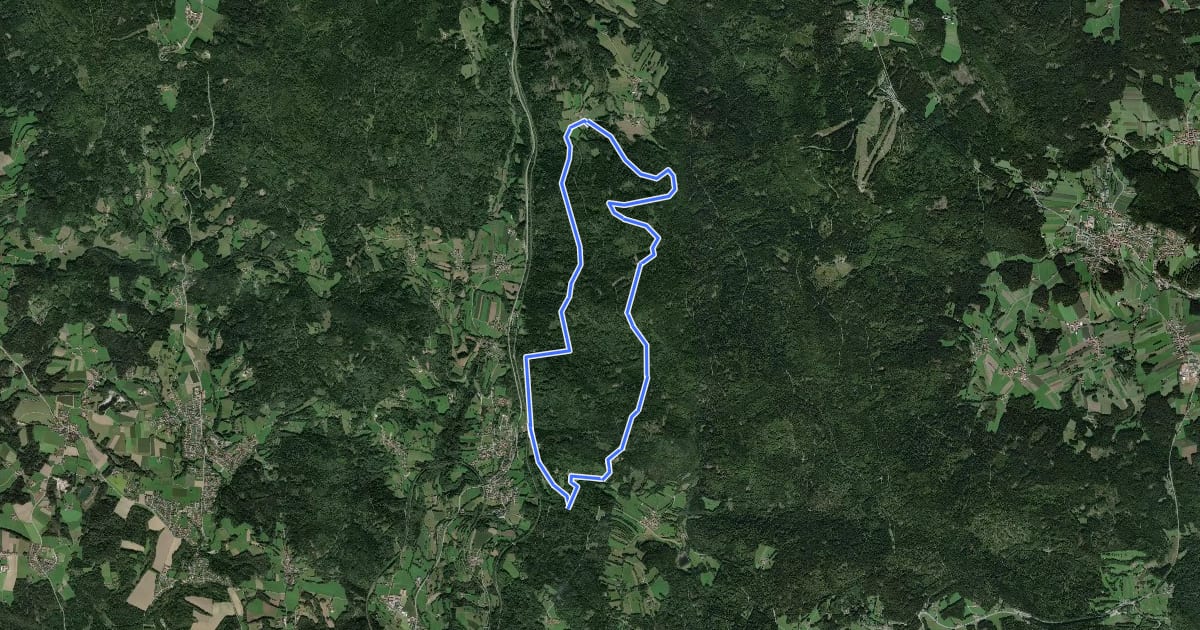 Маршрут Graflinger Tal Rundwanderweg Nr. 1 на спутниковом снимке