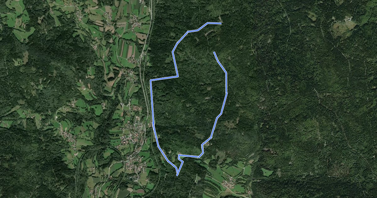 Маршрут Graflinger Tal Rundwanderweg Nr. 1a на спутниковом снимке