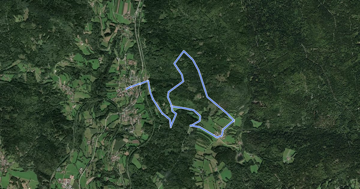 Маршрут Graflinger Tal Rundwanderweg Nr. 3 на спутниковом снимке