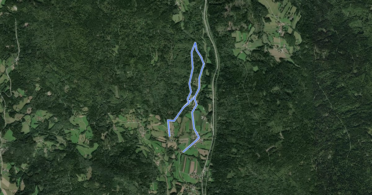 Маршрут Graflinger Tal Rundwanderweg Nr. 7 на спутниковом снимке