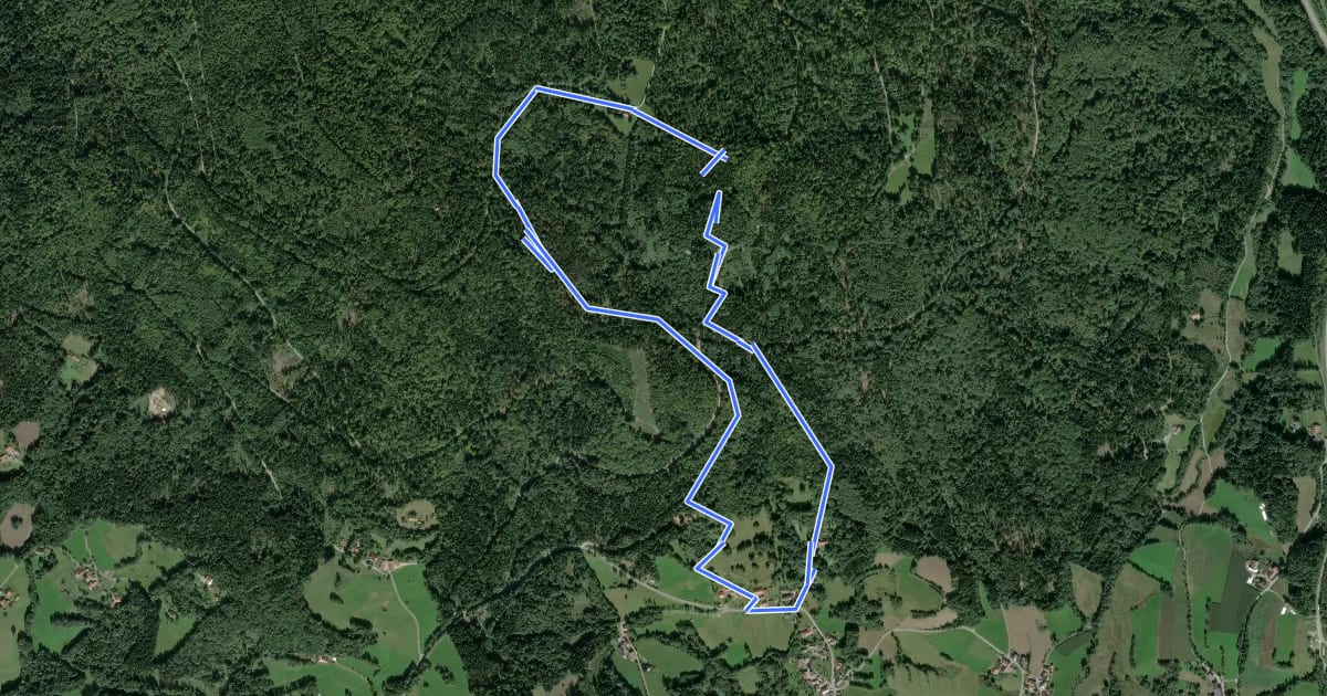 Маршрут Graflinger Tal Rundwanderweg Nr. 8 на спутниковом снимке