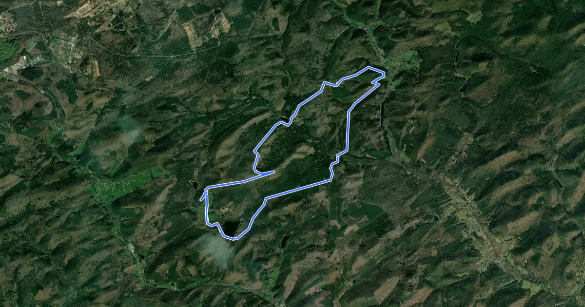 Маршрут Grand circuit de l'étang de Hanau на спутниковом снимке