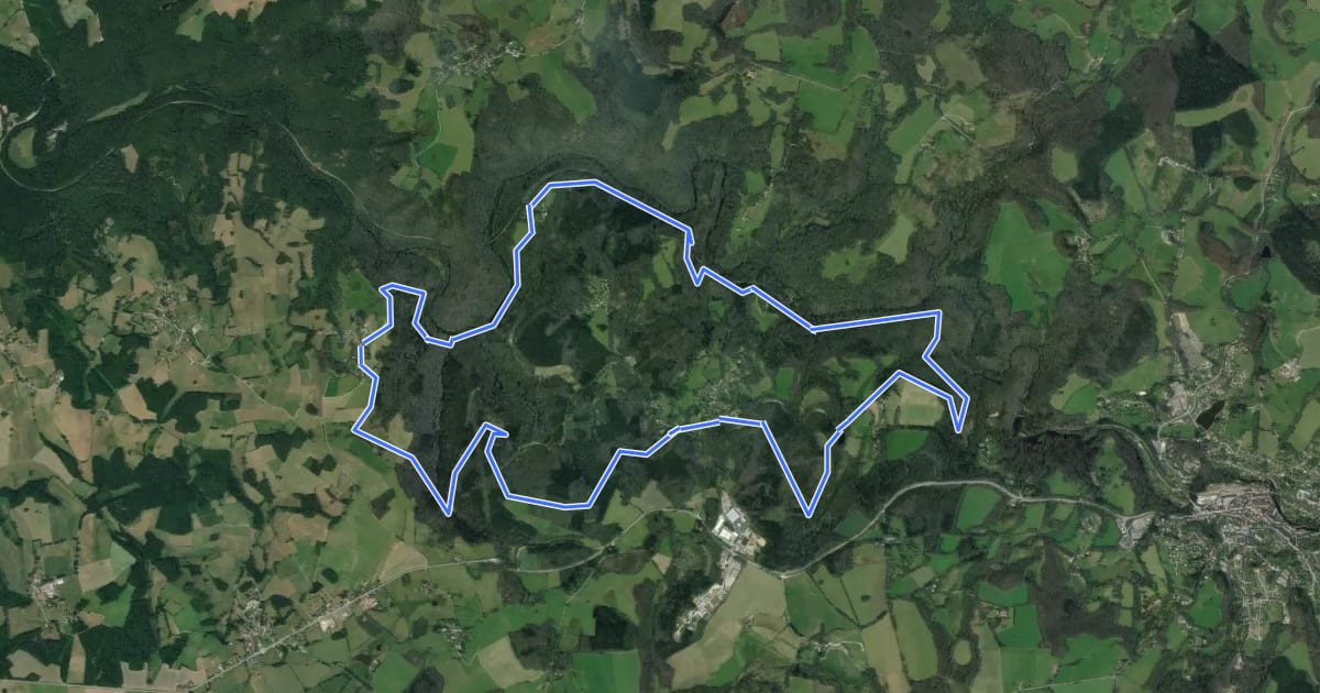 Маршрут Grand circuit des gorges de la Vienne на спутниковом снимке