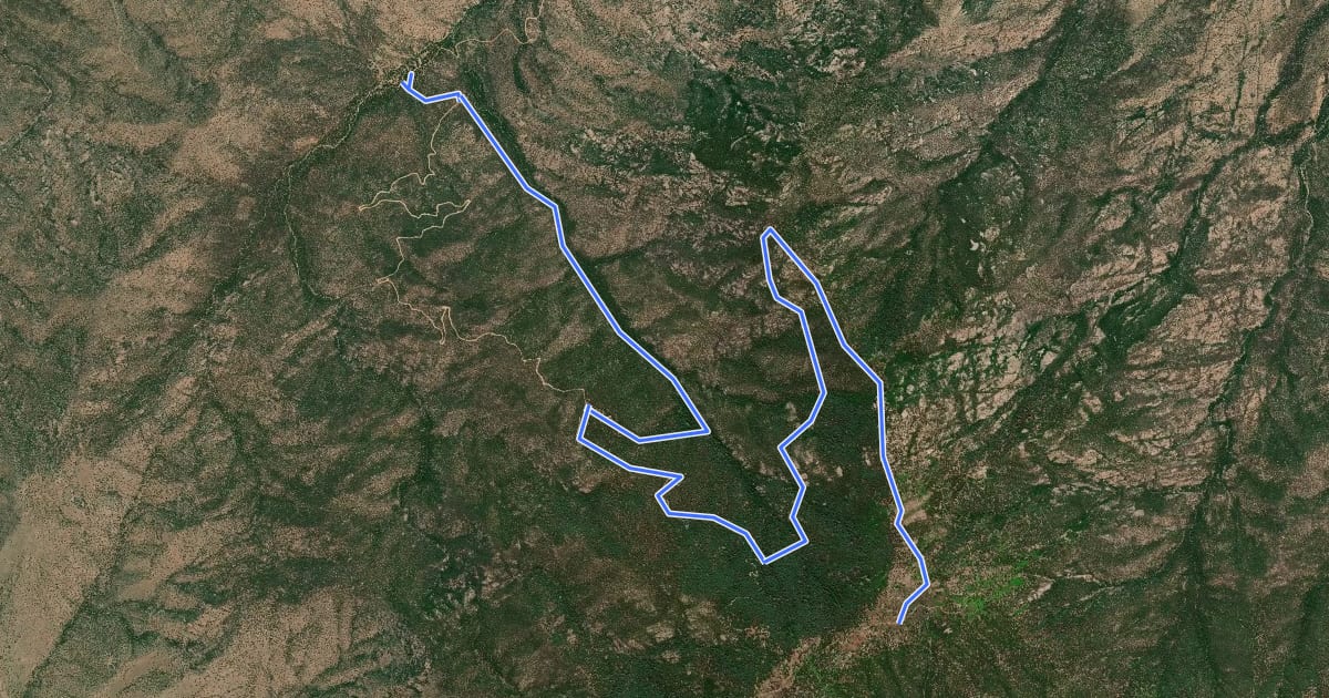 Маршрут Grand Enchantment Trail Alternative 10A на спутниковом снимке