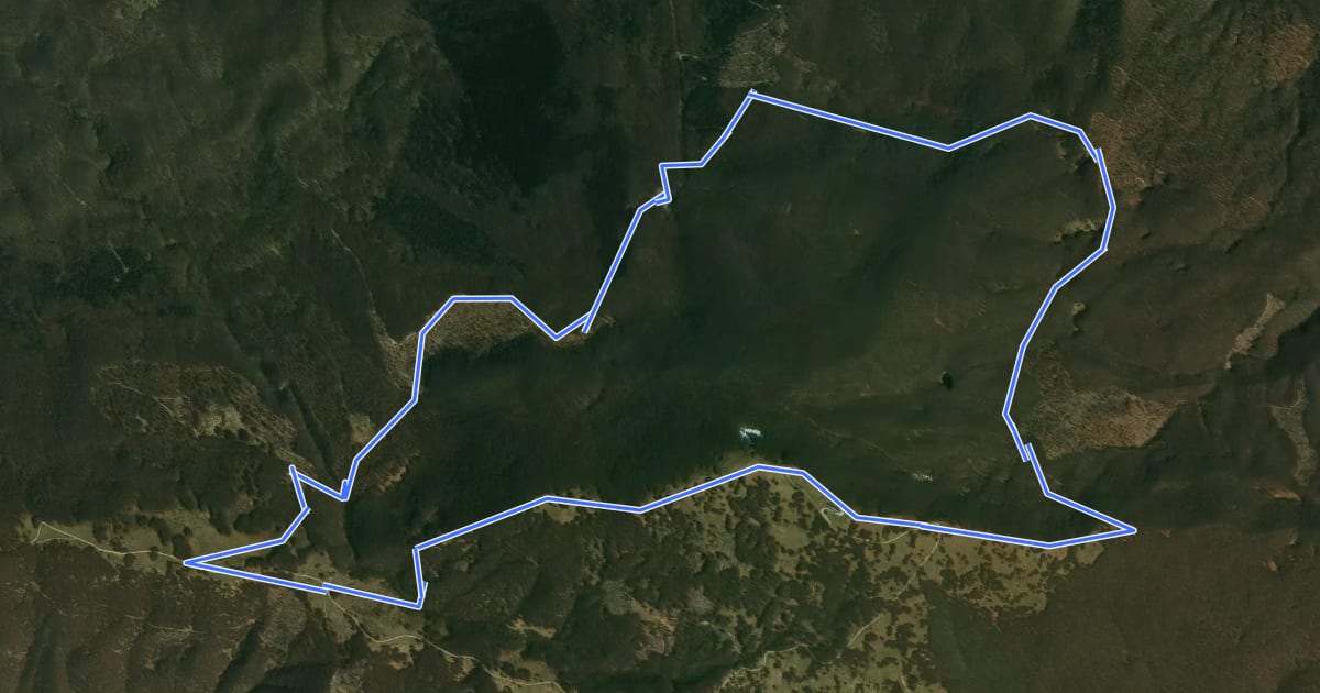 Маршрут Grande Anello Del Molinatico на спутниковом снимке