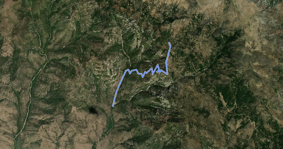 Маршрут Grant Creek Trail #305 на спутниковом снимке