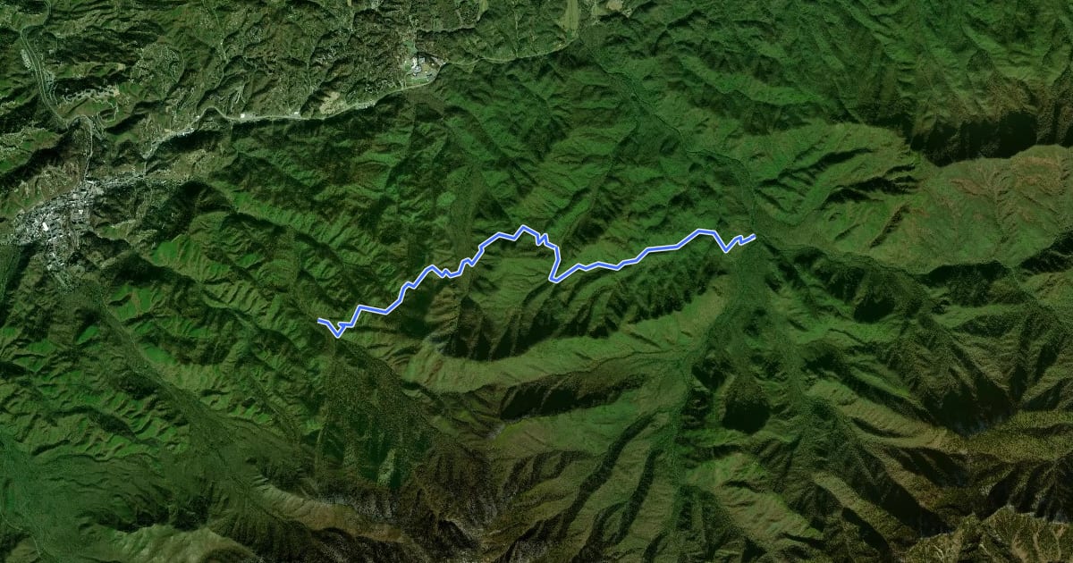Маршрут Grapeyard Ridge Trail на спутниковом снимке