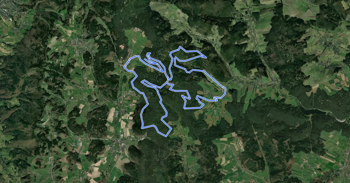 Маршрут Gras-Ellenbach 1 на спутниковом снимке