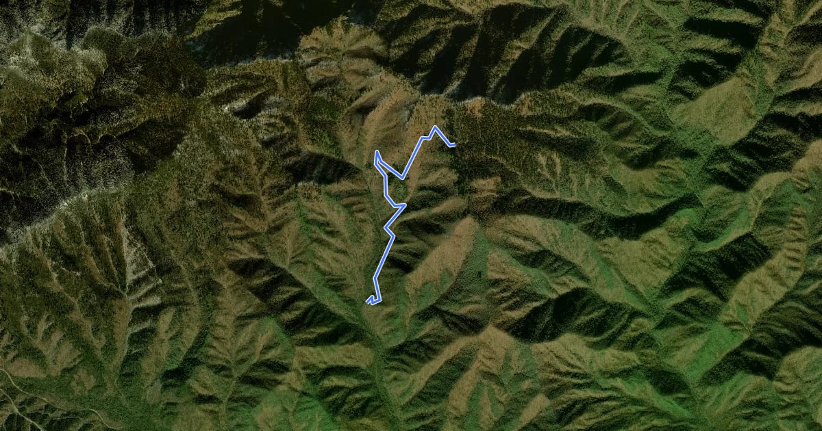 Маршрут Grassy Branch Trail на спутниковом снимке