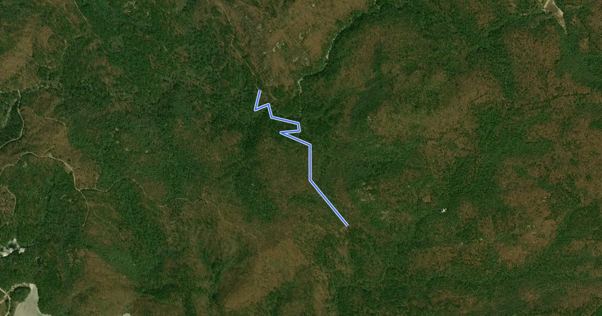 Маршрут Grassy Creek Trail на спутниковом снимке