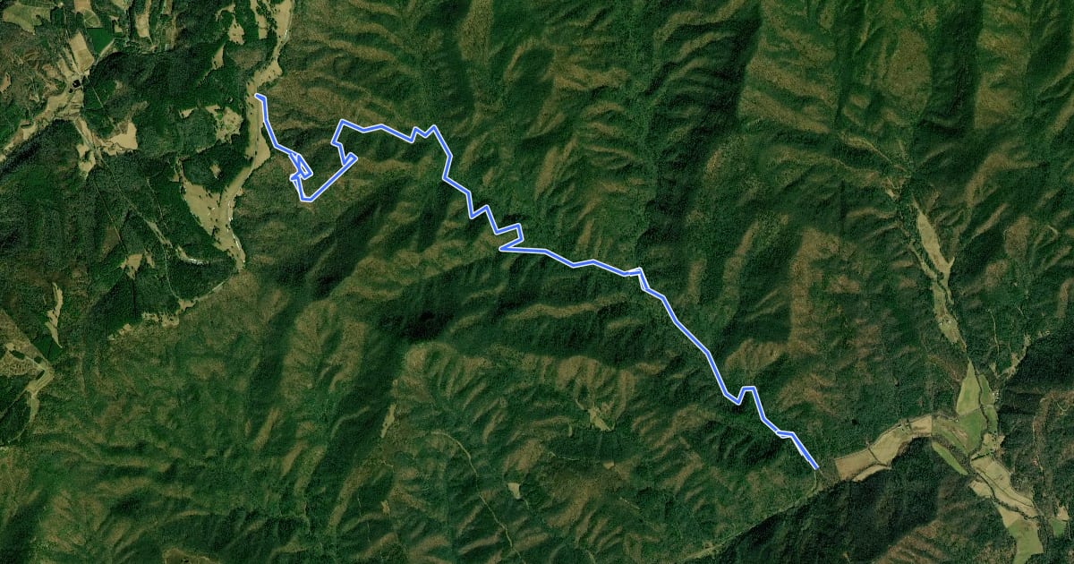 Маршрут Grassy Gap Fire Road на спутниковом снимке