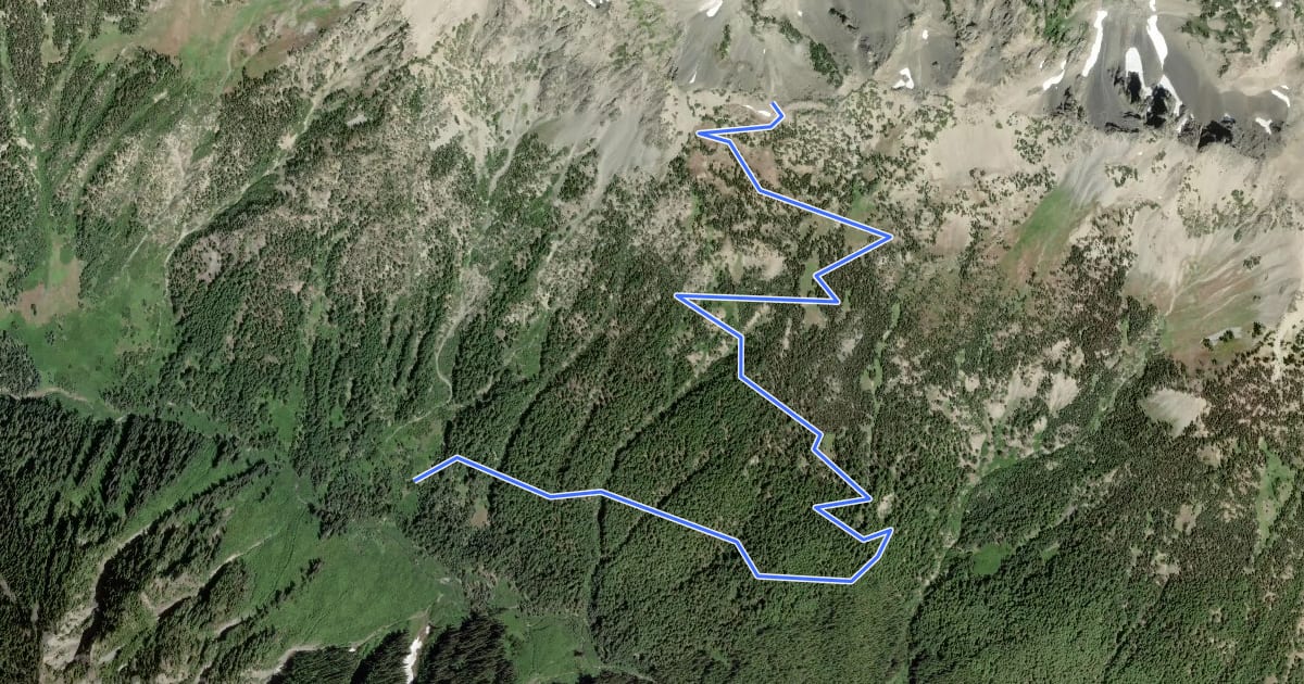 Маршрут Gray Wolf Pass Trail на спутниковом снимке