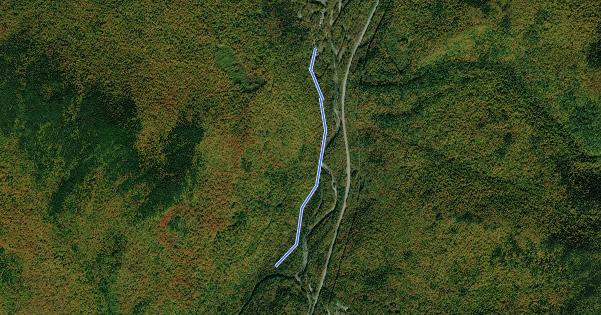 Маршрут Great Gulf Trail Link на спутниковом снимке