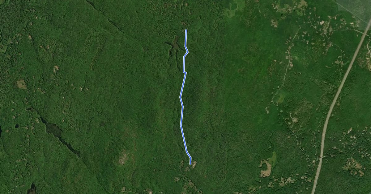 Маршрут Great Marsh Trail на спутниковом снимке