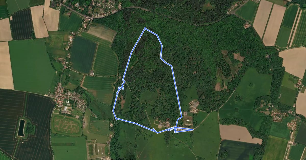 Маршрут Great Wood Walk, Felbrigg на спутниковом снимке