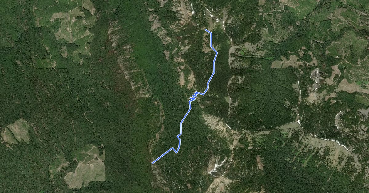 Маршрут Greek Creek Basin Trail на спутниковом снимке