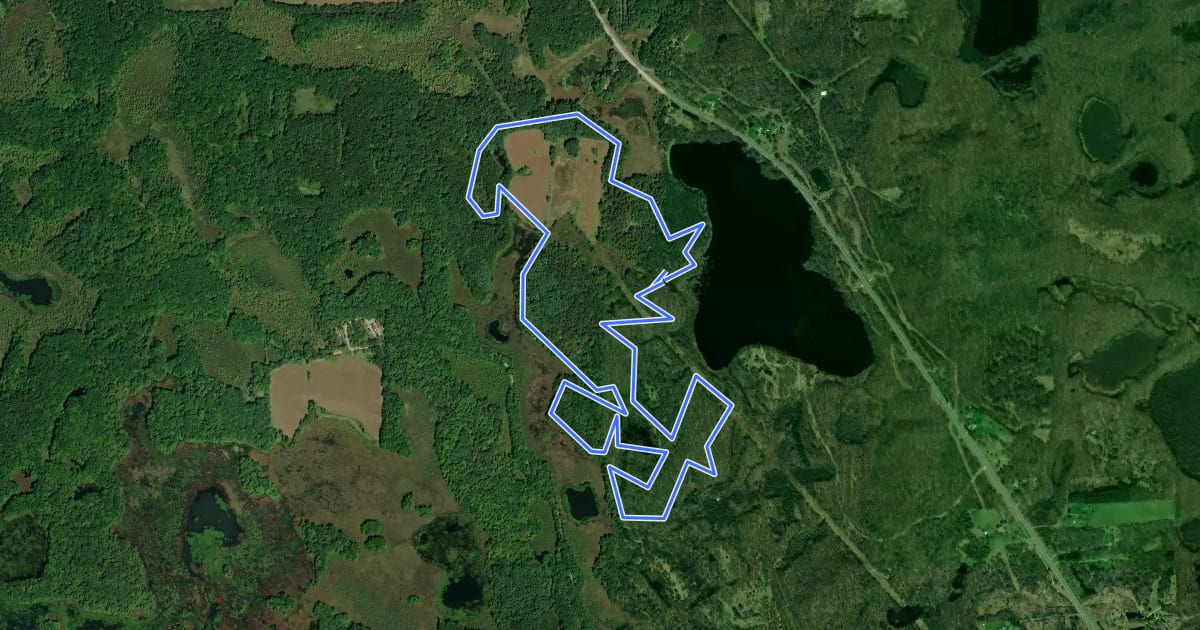 Маршрут Green Lake Loop на спутниковом снимке