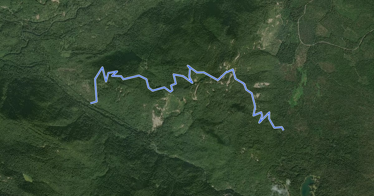 Маршрут Green Mountain Trail #110 на спутниковом снимке