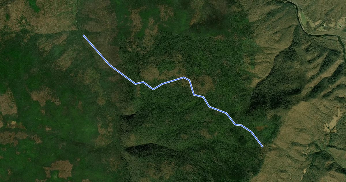 Маршрут Green Mountain Trail на спутниковом снимке