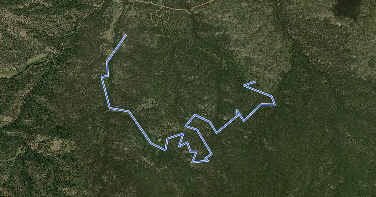 Маршрут Green Mountain Trail на спутниковом снимке