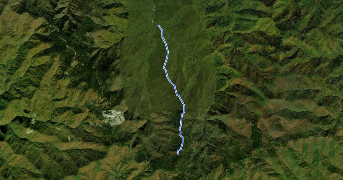 Маршрут Green Mountain Trail на спутниковом снимке