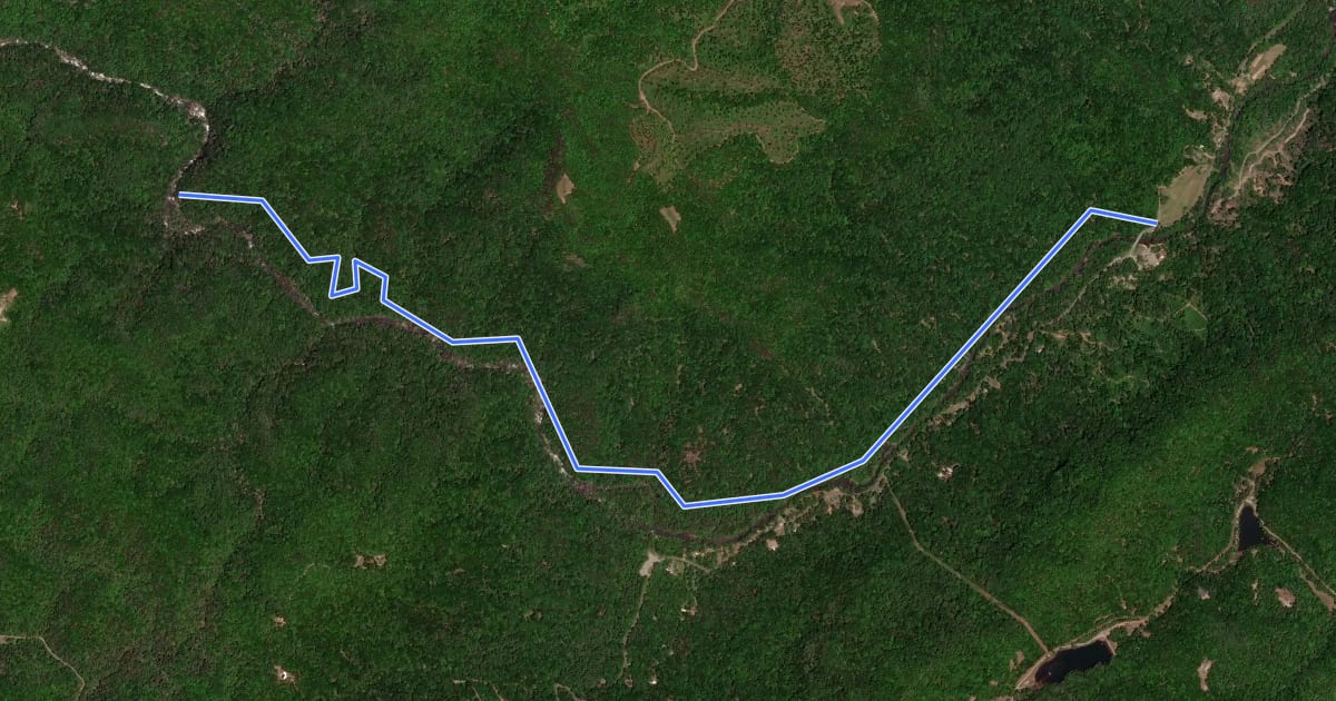 Маршрут Green River Cove Trail на спутниковом снимке