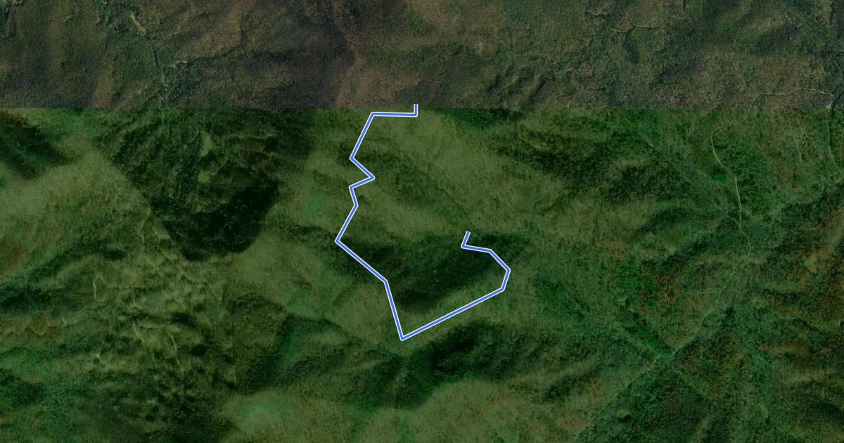 Маршрут Green's Lick Trail на спутниковом снимке