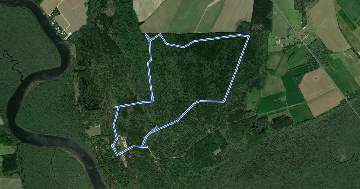 Маршрут Green Trail на спутниковом снимке