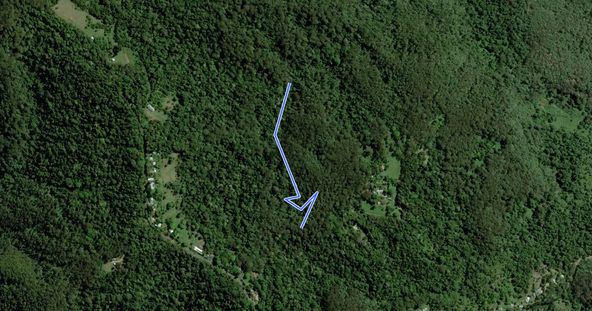 Маршрут Greenes Falls Track на спутниковом снимке